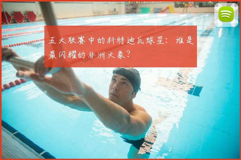 五大联赛中的科特迪瓦球星:谁是最闪耀的非洲大象?