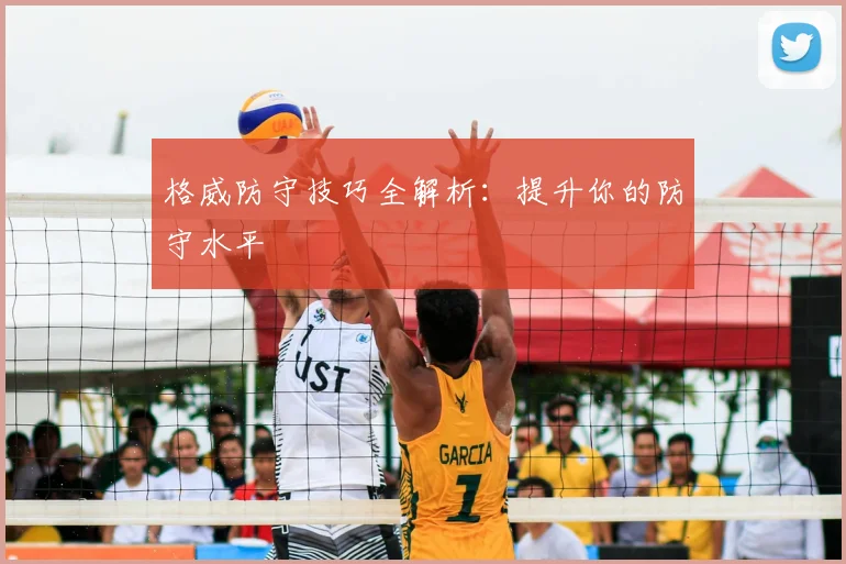 格威防守技巧全解析:提升你的防守水平