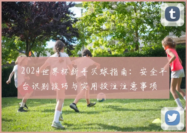 2024世界杯新手买球指南:安全平台识别技巧与实用投注注意事项